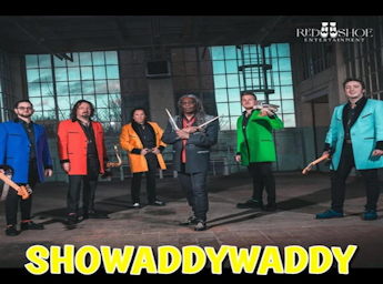 A picture of the ShowWaddyWaddy band. 