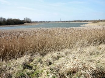 Marton Mere Local Nature Reserve