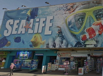Sealife front surmounted by a huge picture of a diver and fishes