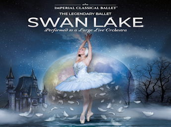 A pciture of a ballerina loosing featehrs against a night background with a large moon.