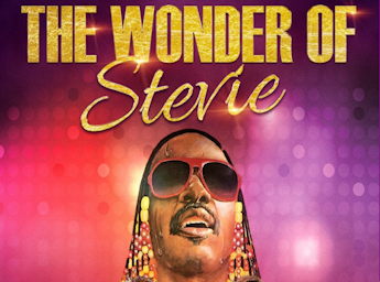A picture of a man as Stevie Wonder.