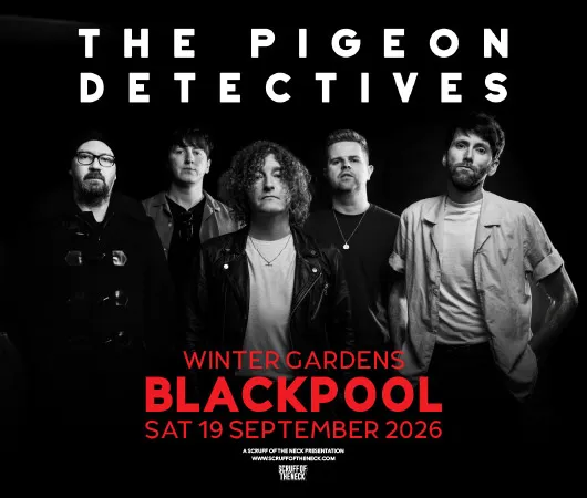 The Pigeon Detectives