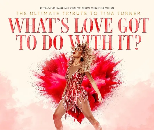 What’s Love Got To Do With It?