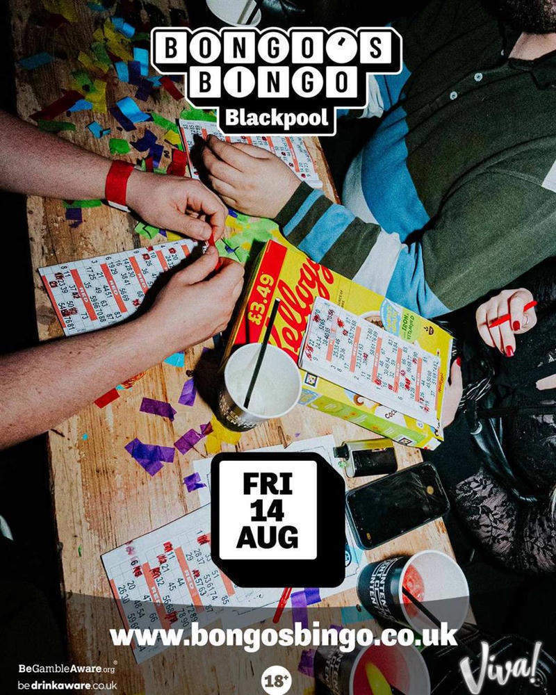 Bongo’s Bingo