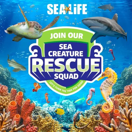 Sea Creature Rescue Squad