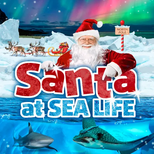 Santa At Sea Life