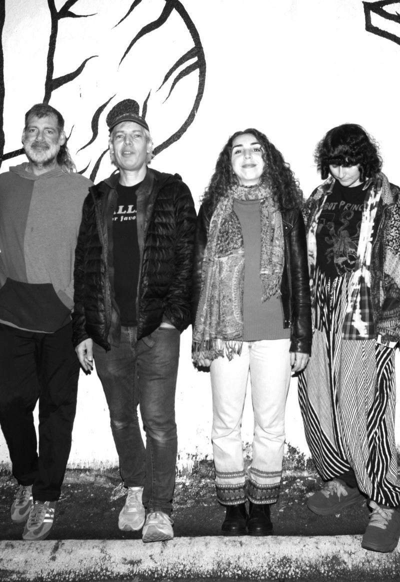 Jeffrey Lewis & The Voltage