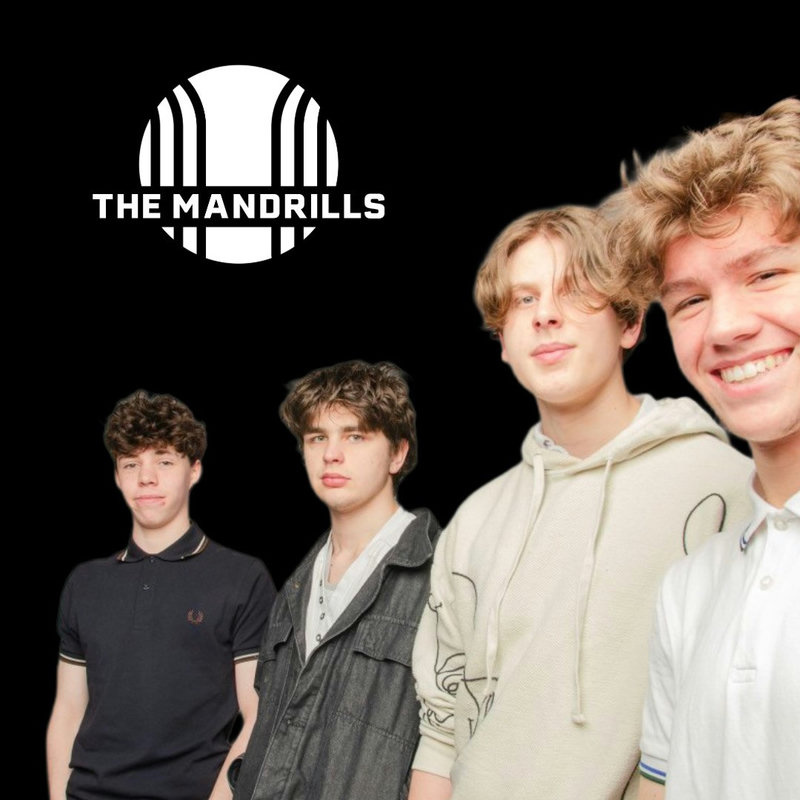 The Mandrills
