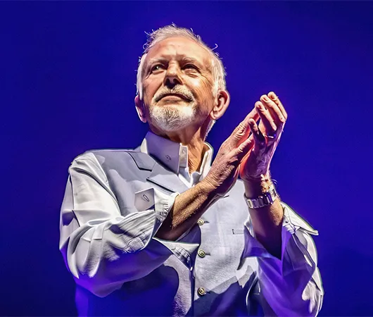 David Essex