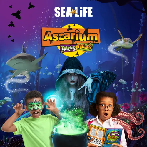 Ascarium Tricks Treats