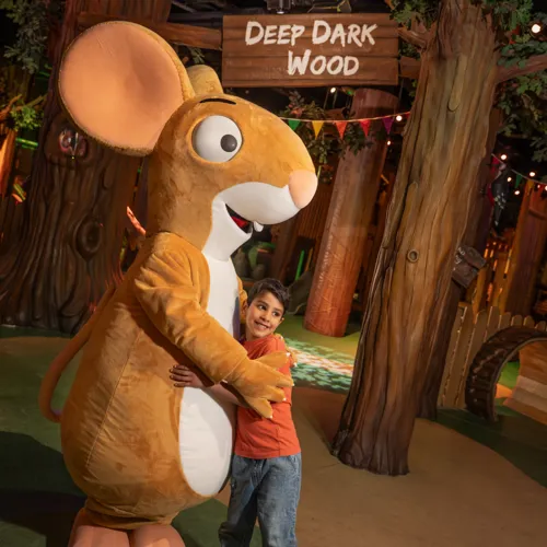 A Brave Little Adventure With Mouse
